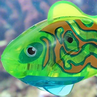 Jouet Interactif Chat - CatchyFish™ - Vert - Chat Enchanteur