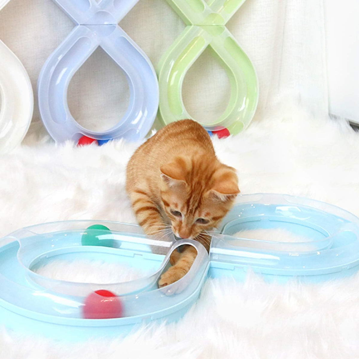 Jouets Interactifs Pour Chat - HouseholdTurntableTunnel™ - Bleu - Chat Enchanteur