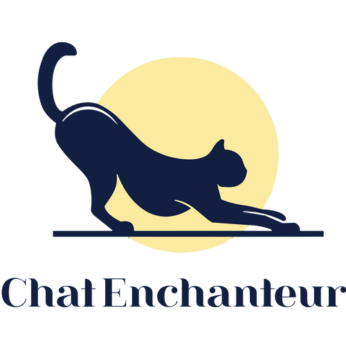 Chat Enchanteur
