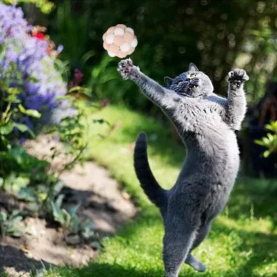 Balle pour Chat - JingleChase™ - Blanc - Chat Enchanteur