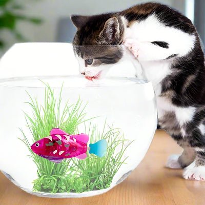 Jouet Interactif Chat - CatchyFish™ - Fushia - Chat Enchanteur