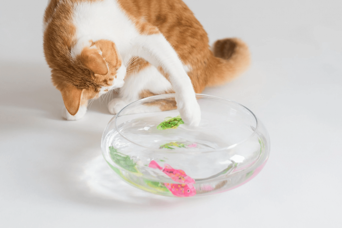 Jouet Interactif Chat - CatchyFish™ - Rose Bonbon - Chat Enchanteur