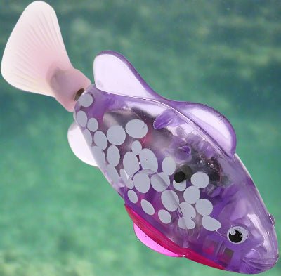 Jouet Interactif Chat - CatchyFish™ - Violet - Chat Enchanteur
