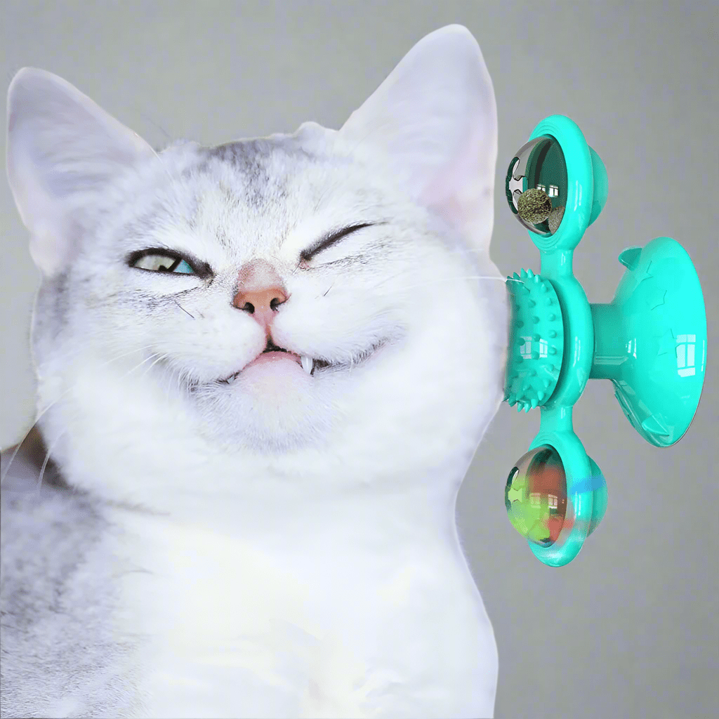Jouet Pour Chat - MultifunctionalGlowingBall™ - Bleu ciel - Chat Enchanteur