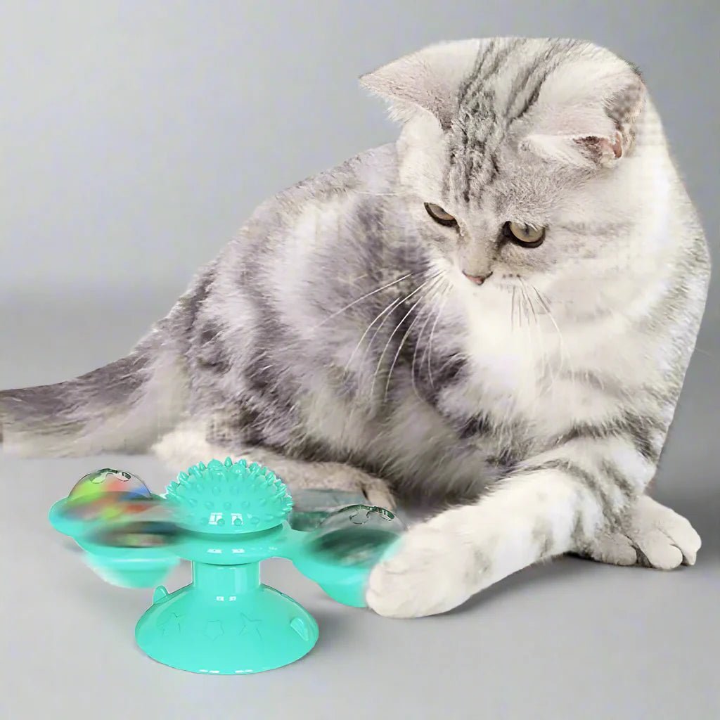 Jouet Pour Chat - MultifunctionalGlowingBall™ - Bleu ciel - Chat Enchanteur