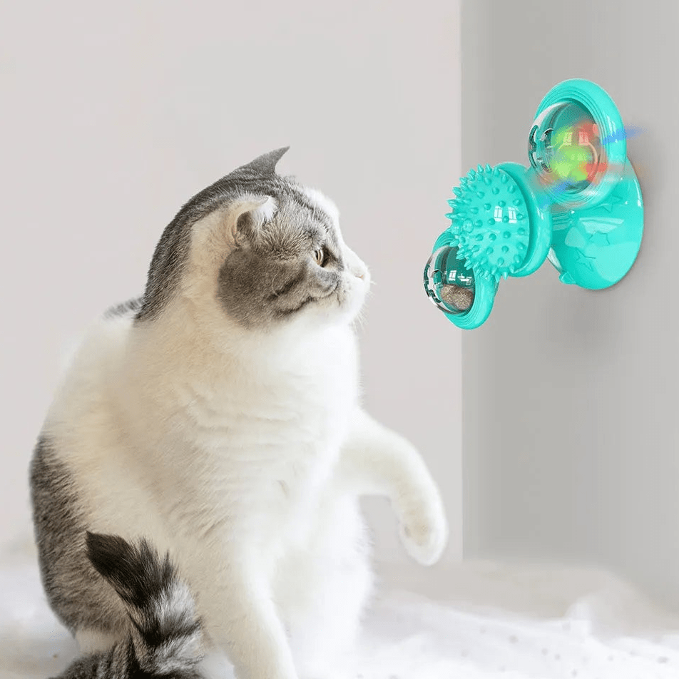 Jouet Pour Chat - MultifunctionalGlowingBall™ - Bleu ciel - Chat Enchanteur