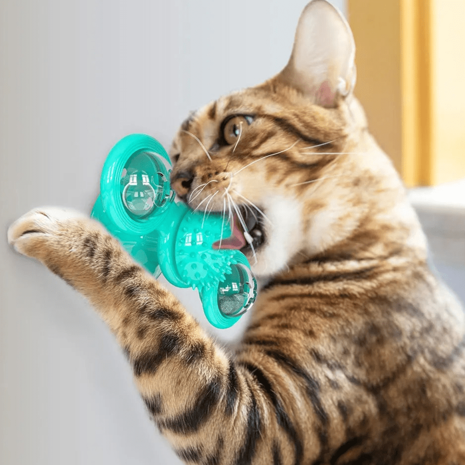 Jouet Pour Chat - MultifunctionalGlowingBall™ - Bleu ciel - Chat Enchanteur