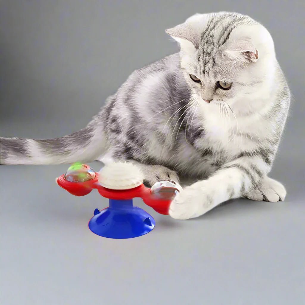 Jouet Pour Chat - MultifunctionalGlowingBall™ - Rouge - Chat Enchanteur