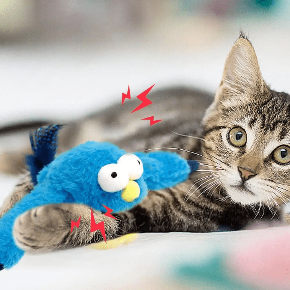 Jouets Interactifs Pour Chat - ChirpingFlappingBird™ - Bleu - Chat Enchanteur